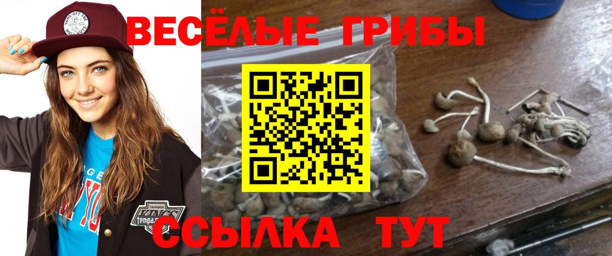 Кировск  купить   Галлюциногенные грибы ЛСД  Вход с VPN  Галлюциногенные грибы прущие грибы 