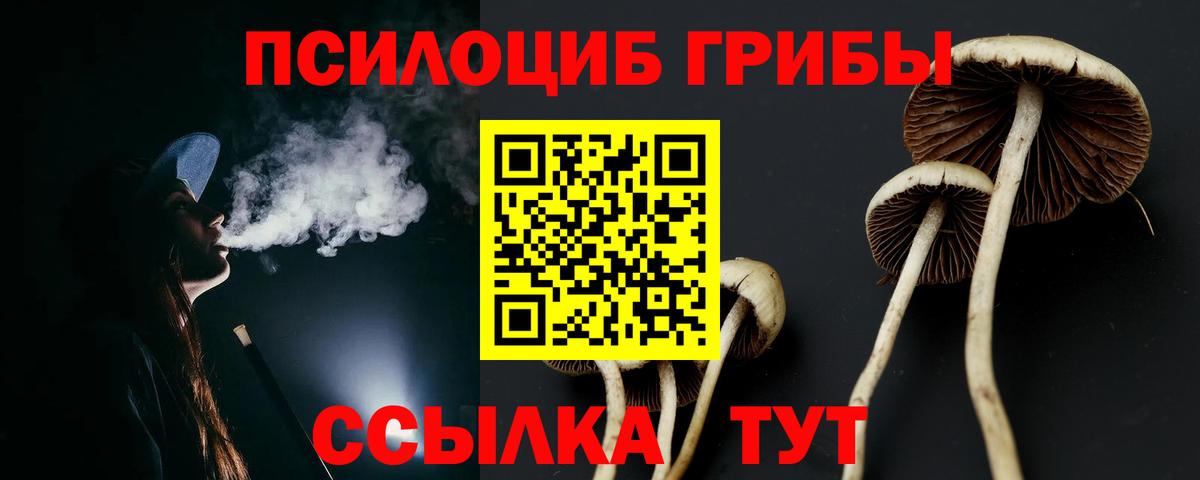 Псилоцибиновые грибы мицелий Кировск